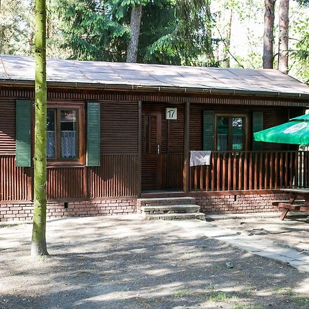 Hotel Lesna Ryba Jedlanka Stara Zimmer foto